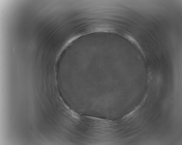 X0000063501019200602032012