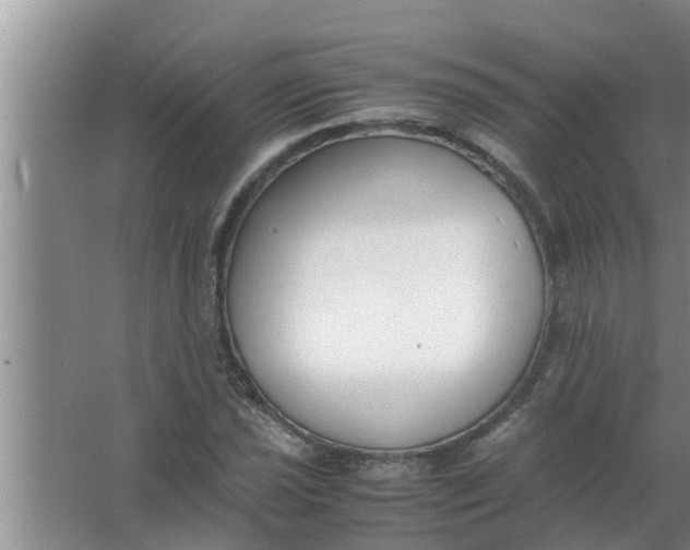 X0000063501021200602032012