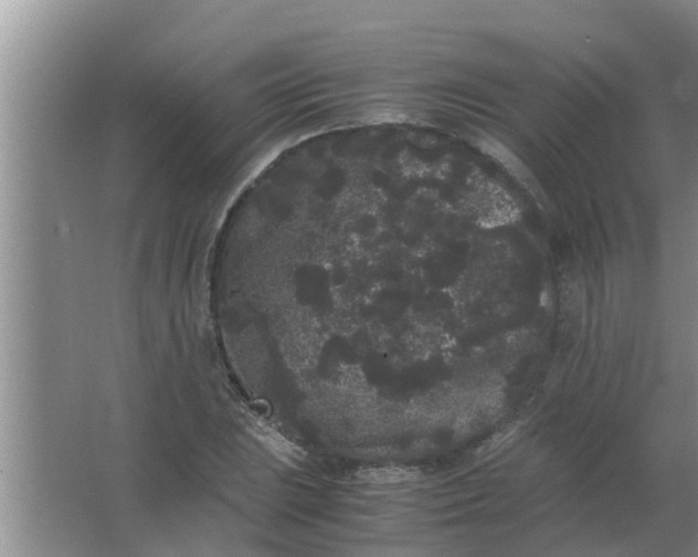 X0000063501023200602032012