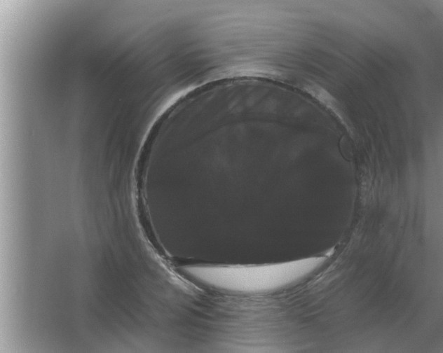 X0000063501024200602032012