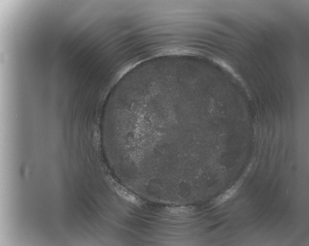 X0000063501025200602032012