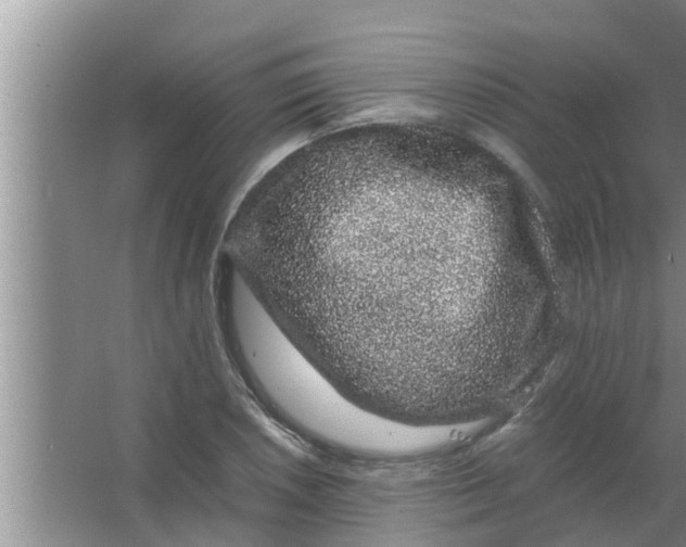 X0000063501026200602032012