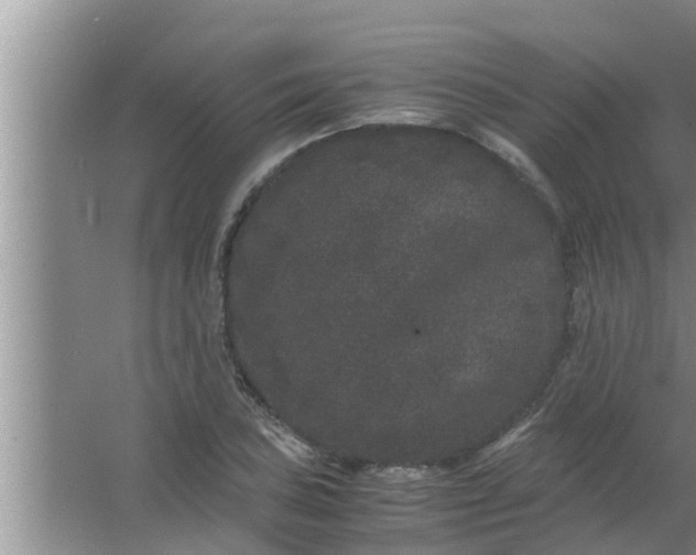 X0000063501027200602032012