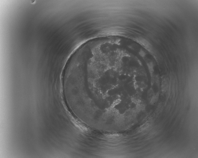 X0000063501031200602032012