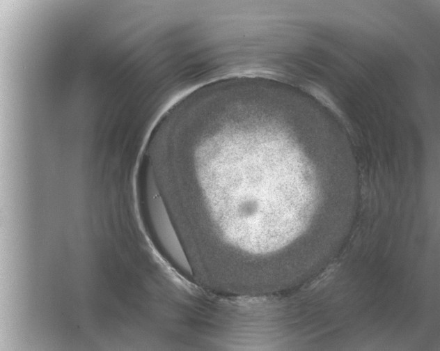 X0000063501032200602032012