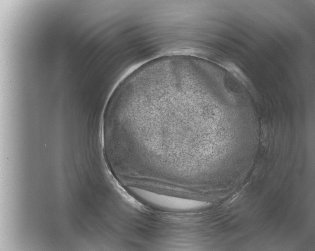 X0000063501036200602032012