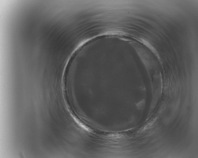 X0000063501037200602032012