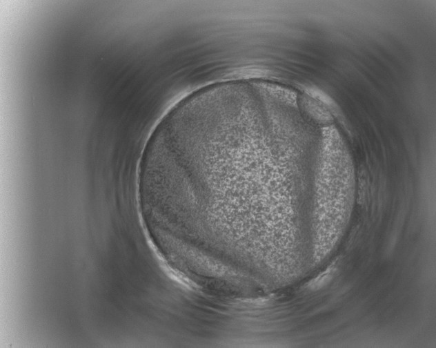 X0000063501039200602032012