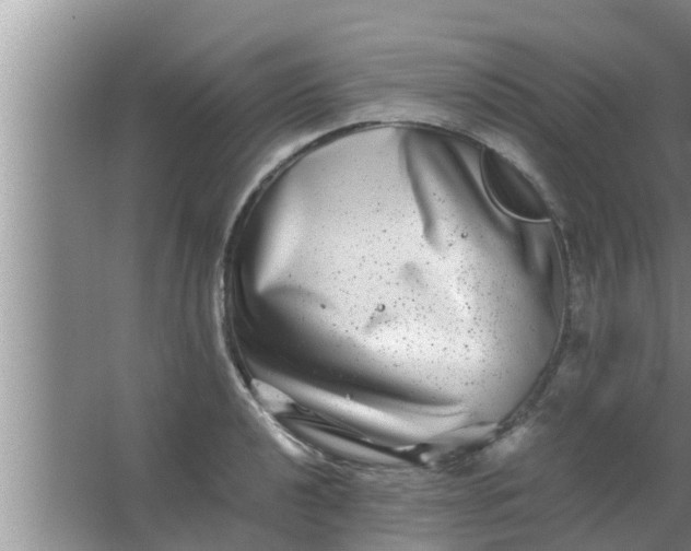 X0000063501040200602032012