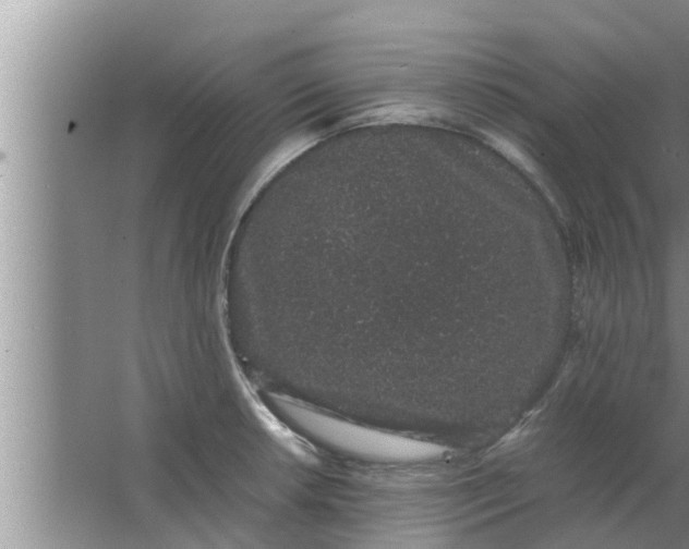 X0000063501042200602032012