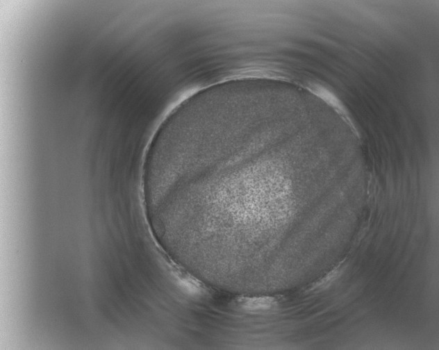 X0000063501043200602032012