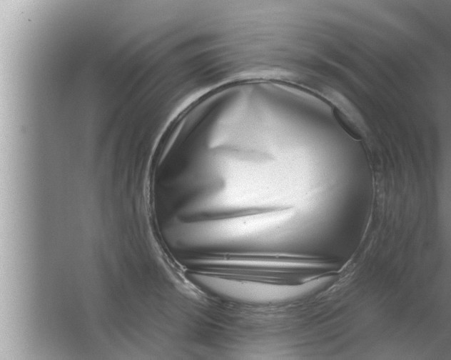 X0000063501044200602032012