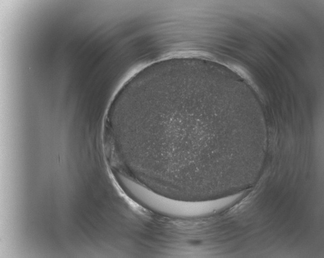 X0000063501046200602032012