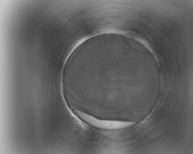 X0000063501048200602032012