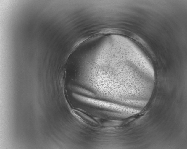 X0000063501049200602032012