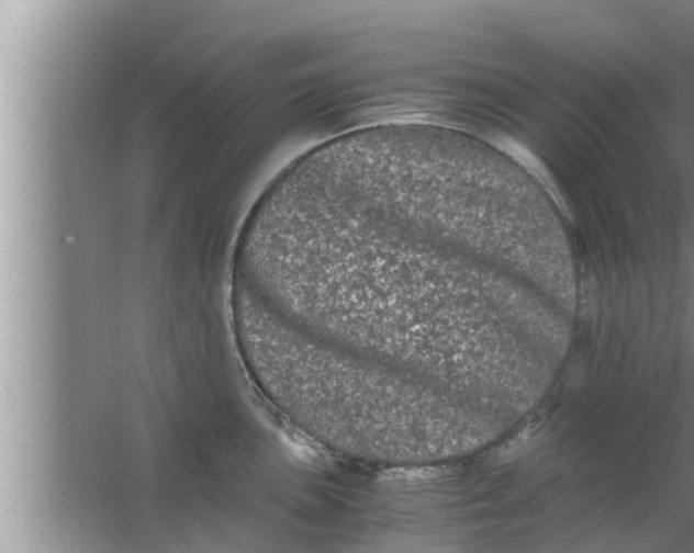 X0000063501051200602032012