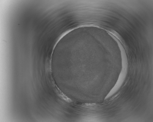 X0000063501052200602032012