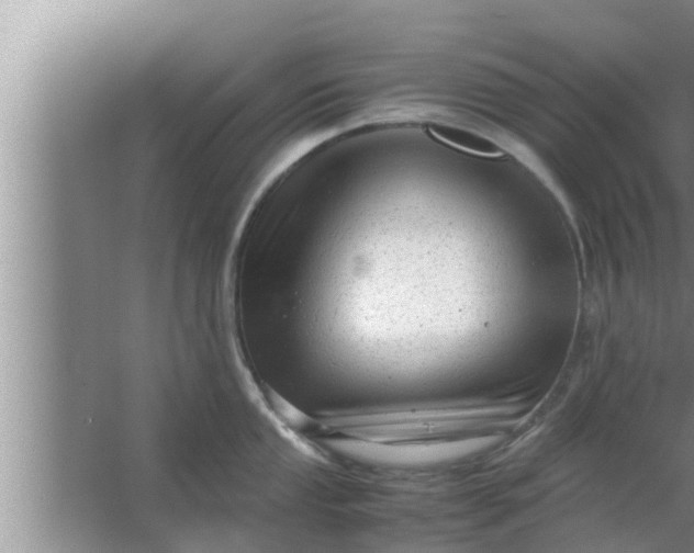 X0000063501053200602032012