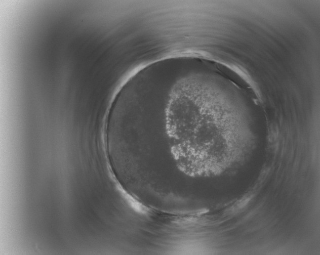 X0000063501054200602032012