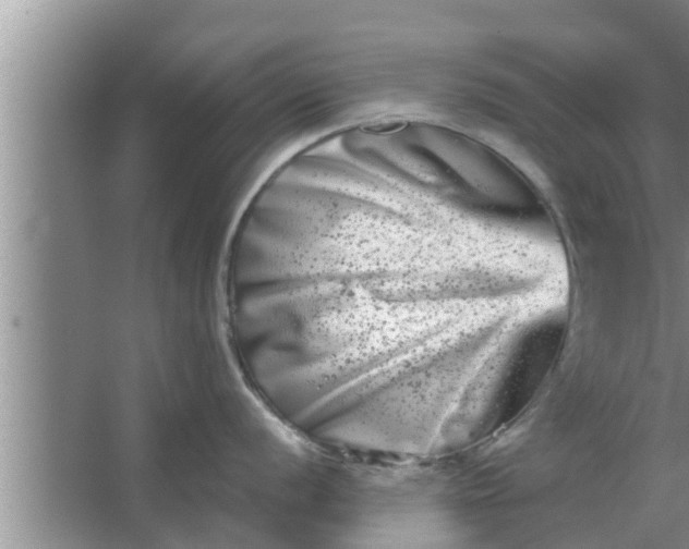 X0000063501056200602032012