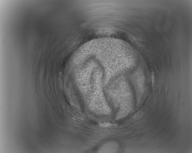 X0000063501059200602032012