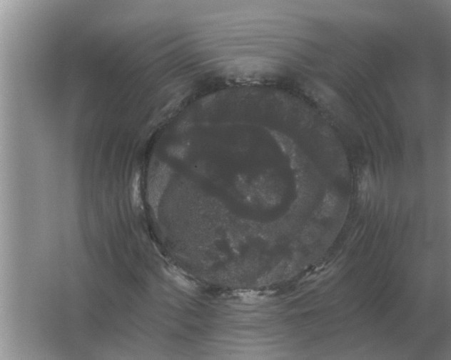 X0000063501060200602032012