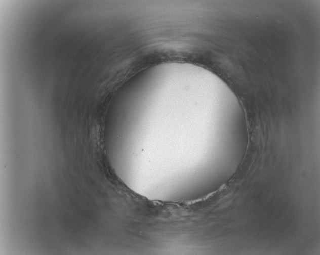 X0000063501061200602032012