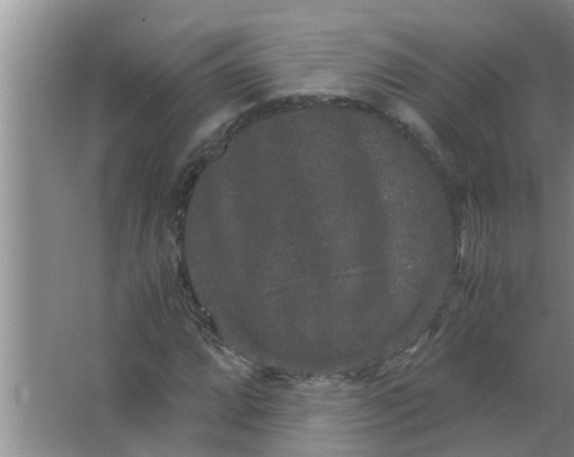 X0000063501064200602032011