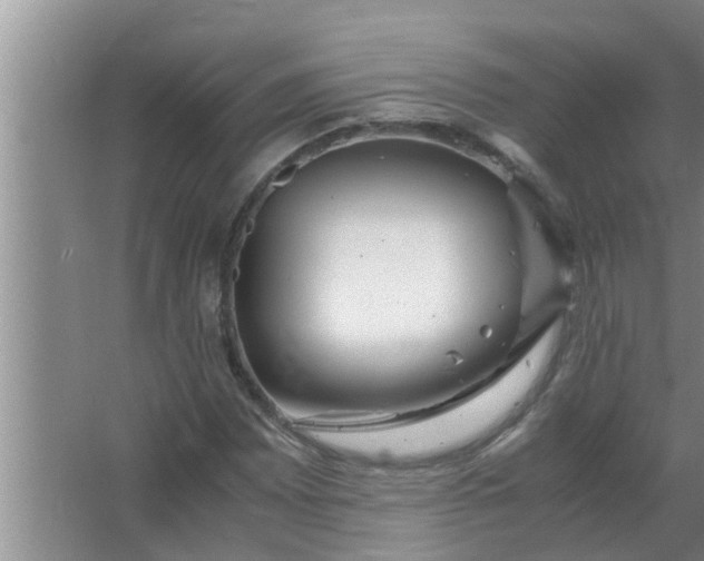 X0000063501065200602032011