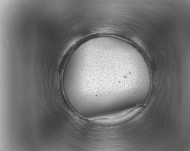 X0000063501067200602032011