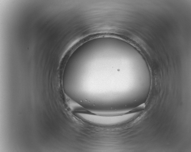 X0000063501069200602032011