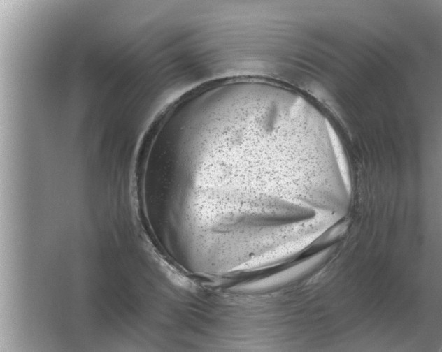 X0000063501072200602032011