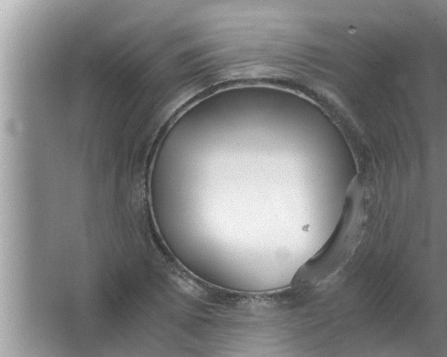 X0000063501073200602032011