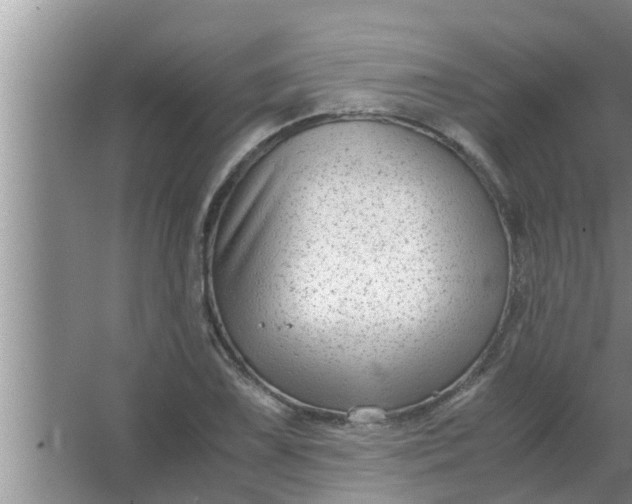 X0000063501075200602032011