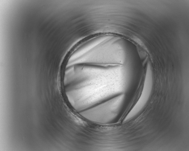 X0000063501076200602032011