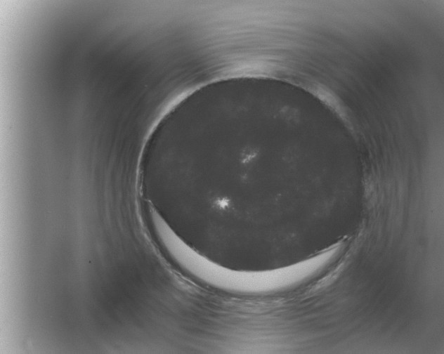 X0000063501077200602032011