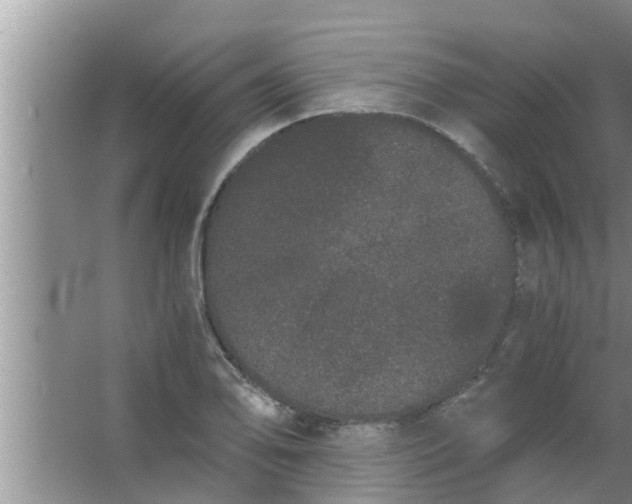 X0000063501078200602032011