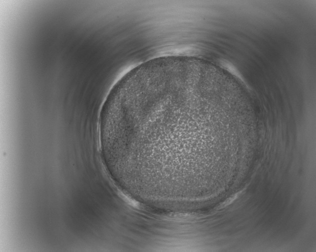 X0000063501079200602032011