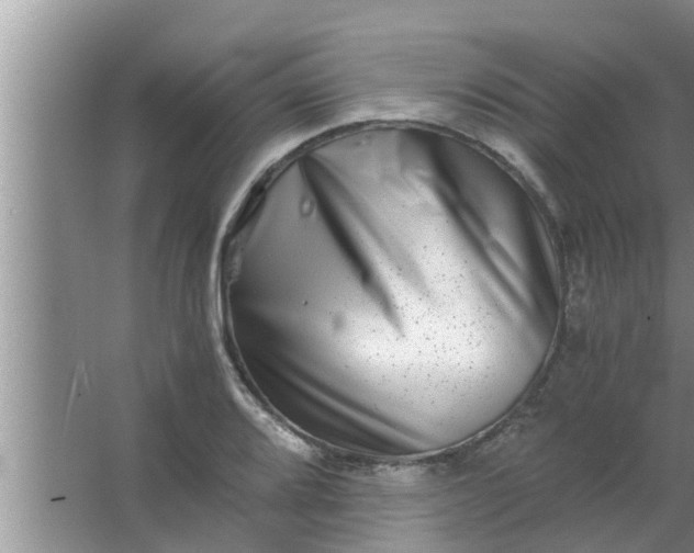 X0000063501080200602032011