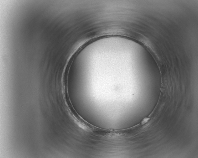 X0000063501082200602032011