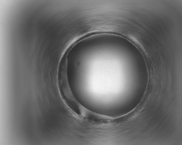 X0000063501085200602032011