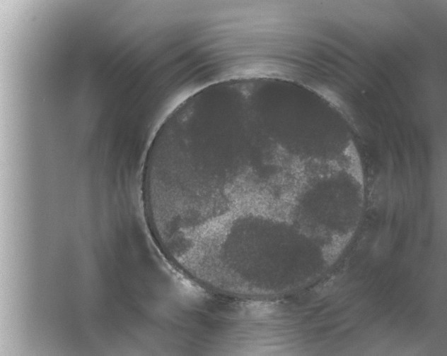 X0000063501086200602032011