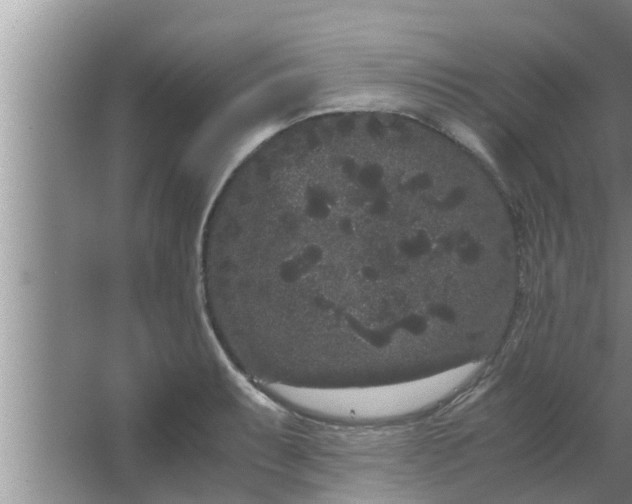 X0000063501087200602032011