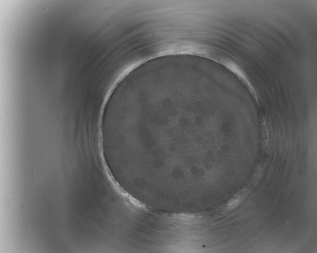 X0000063501088200602032011