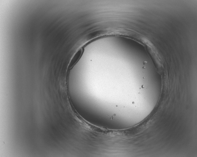 X0000063501089200602032011