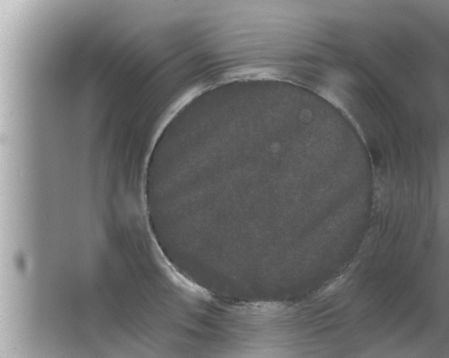 X0000063501090200602032011