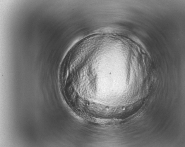 X0000063501091200602032011