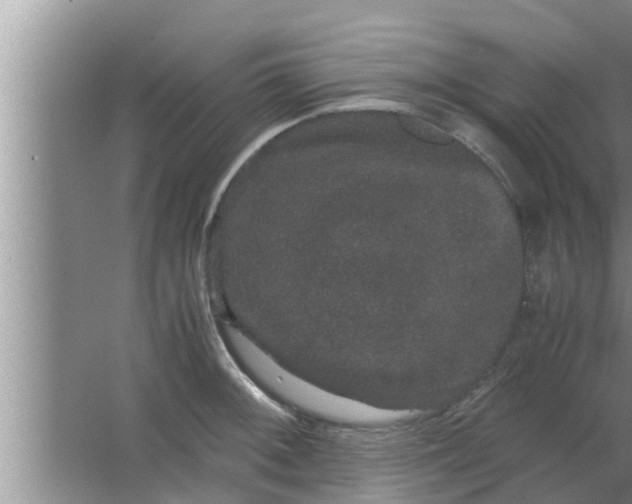 X0000063501092200602032011