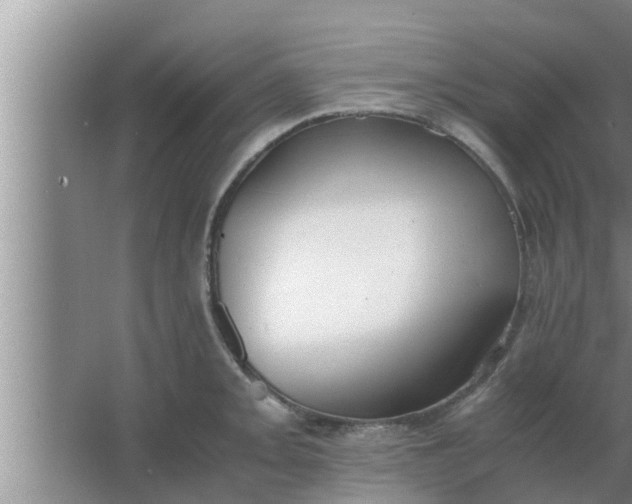 X0000063501093200602032011