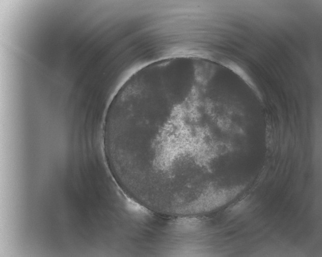 X0000063501094200602032011